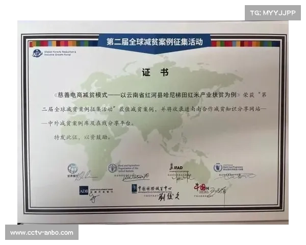 青少年体育安全标准缺失，全球案例引反思